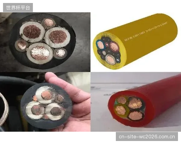一次投资，长期受益：90%的场馆业主证实，改性绝缘层电缆的实际使用寿命超过15年